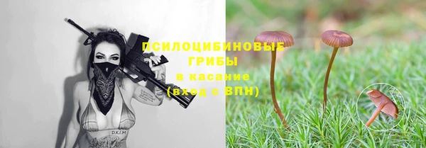 соль ск Алзамай