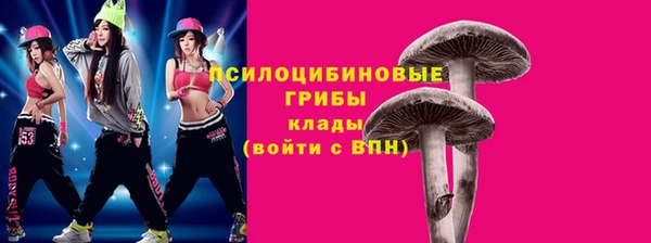 герыч Новозыбков