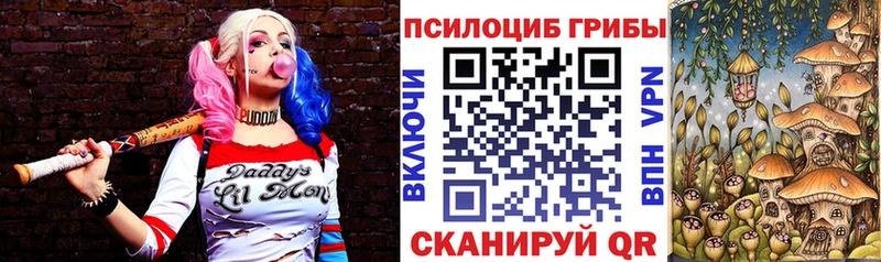 Галлюциногенные грибы Psilocybe Петушки