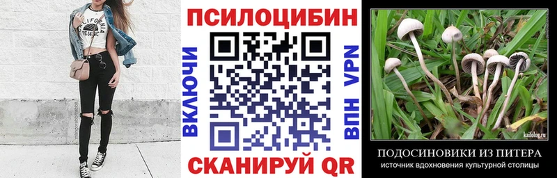 Галлюциногенные грибы Psilocybine cubensis  Петушки 